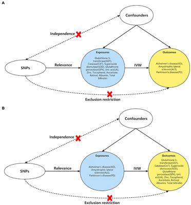 Neurodegenerative disease and antioxidant biomarkers: A bidirectional Mendelian randomization study